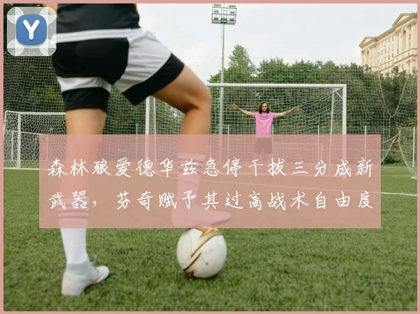 森林狼爱德华兹急停干拔三分成新武器,芬奇赋予其过高战术自由度引隐患
